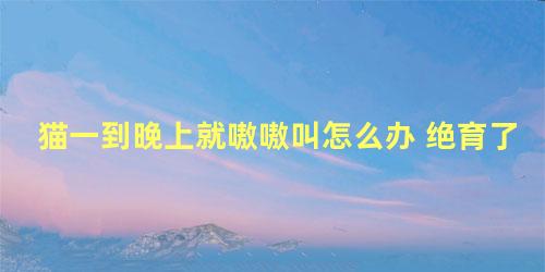 猫一到晚上就嗷嗷叫怎么办 绝育了